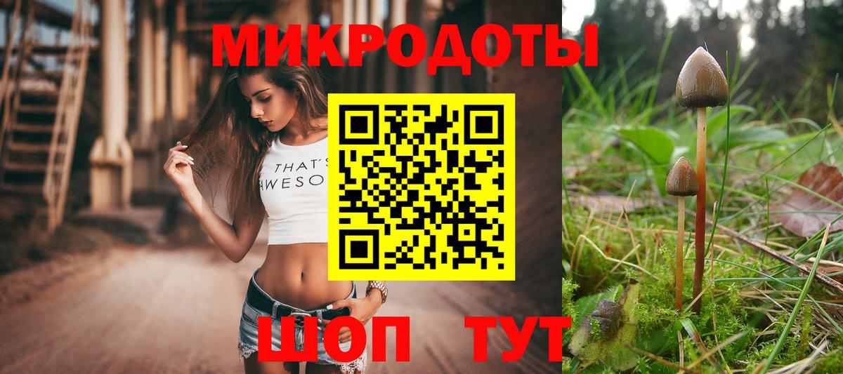 Галлюциногенные грибы прущие грибы  Вход с VPN  где можно купить   Гурьевск 