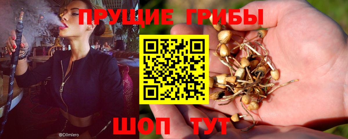 Галлюциногенные грибы MAGIC MUSHROOMS Гурьевск